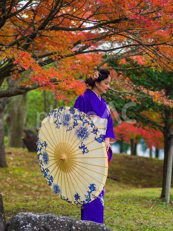 Autumn leaves and kimono 2275364 - Free Download - photoAC